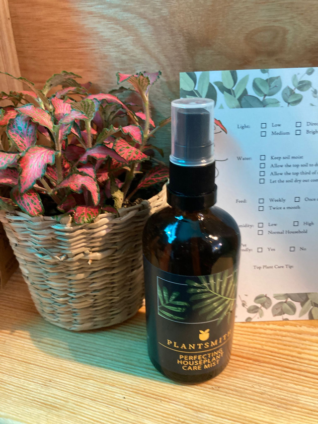 Living Gift Box: Small