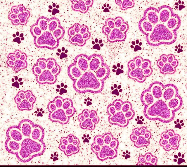 Pink Dog Paws