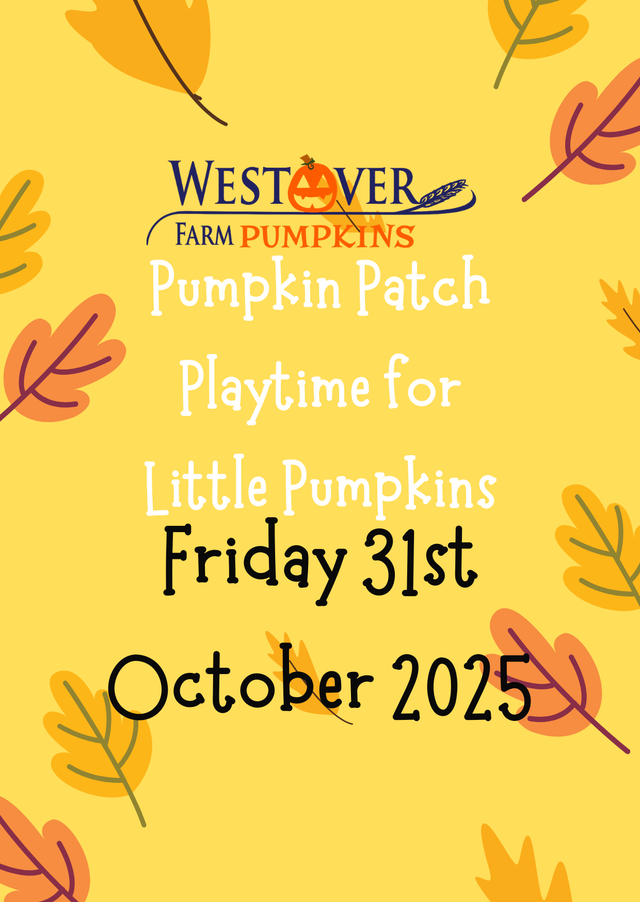 31st October Pumpkin Patch Playtime for Little Pumpkins