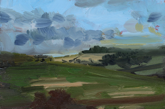 SS- Spring colours, Poundbury Hillfort II