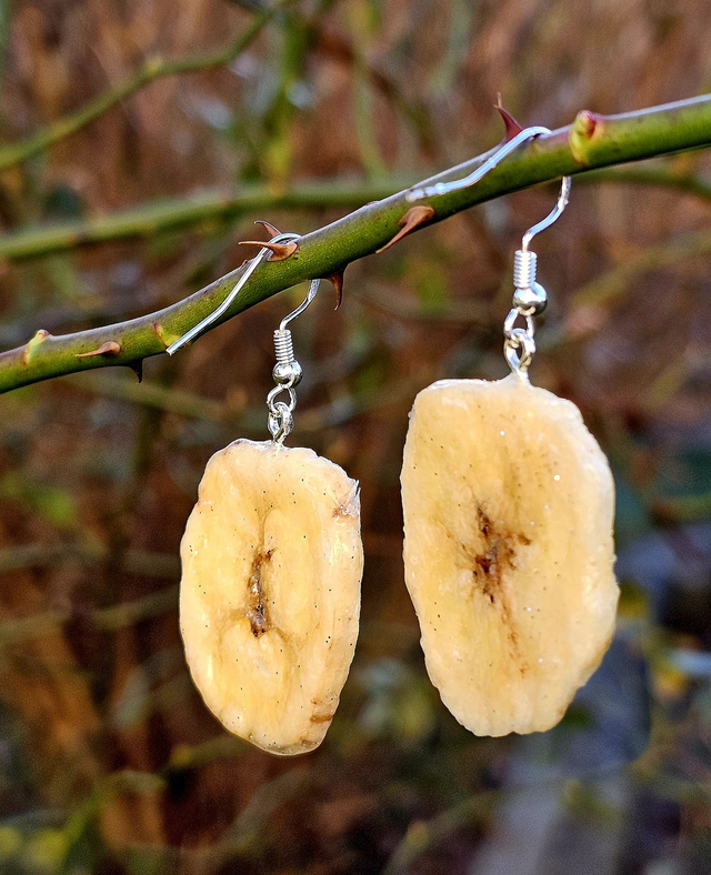 "leckere" BananenOhrringe mit 3 € Spendenanteil für den Tierschutz