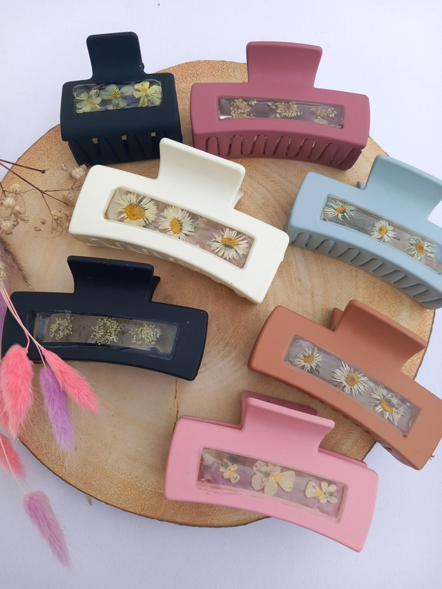 Barrette reine Anne (1)