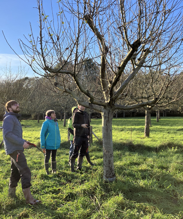 Formation La Taille Douce des Arbres Fruitiers
