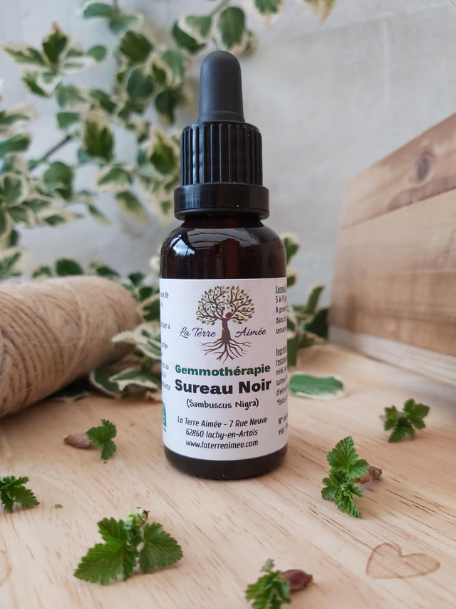 Sureau noir (bourgeons) 30ml