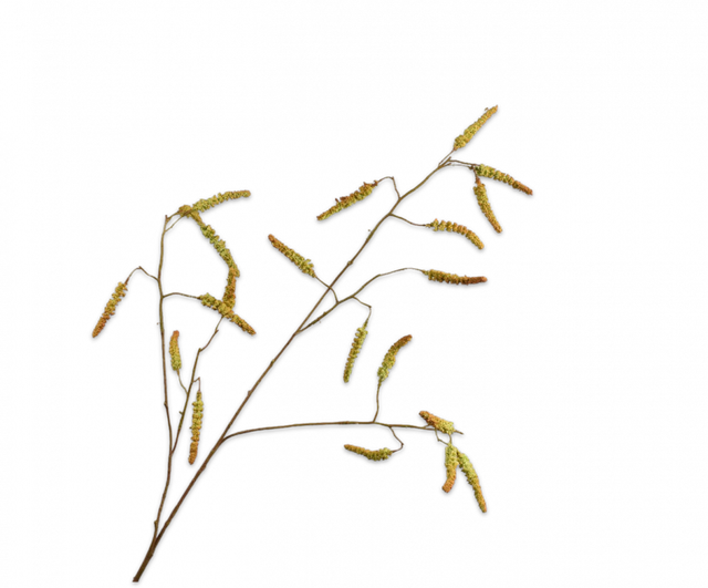 Silk-Ka Wilgentak Groen Bruin 95cm