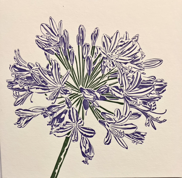 Traditional Letterpress Floral Agapanthus 