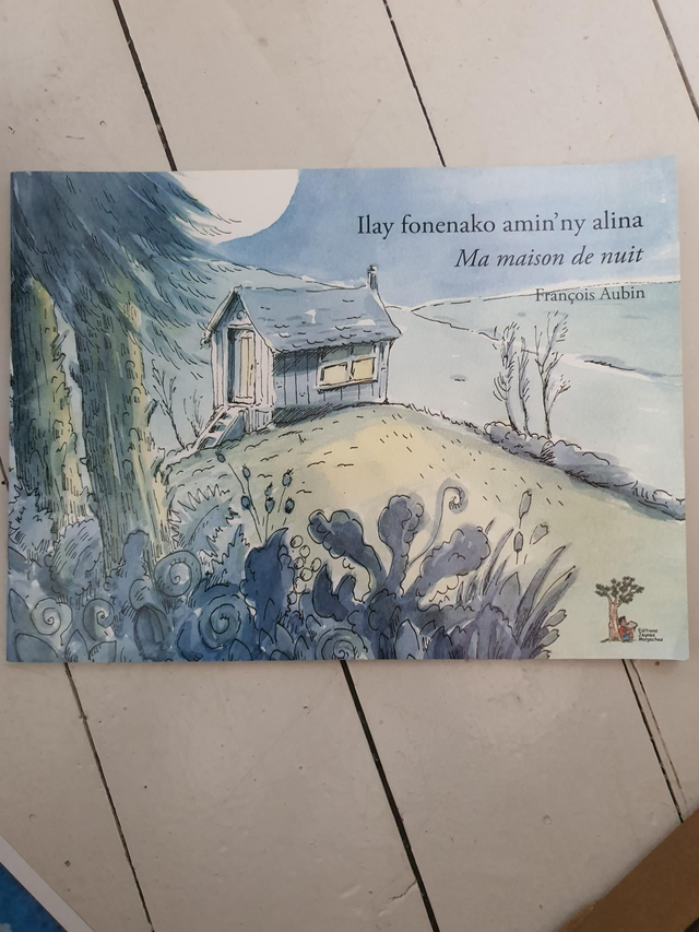 Ilay fonenako de François Aubin