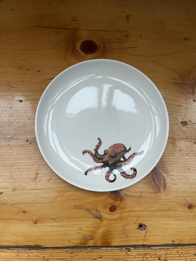 Teller glatt 18cm Oktopus | lenes_linien Sonderedition