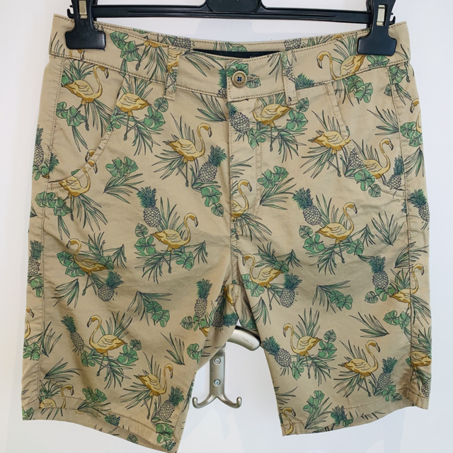 Bermuda chino Teleria Zed