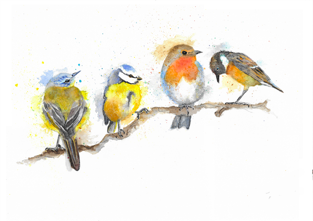 A Potpourri of Birds - Watercolour Print Framed