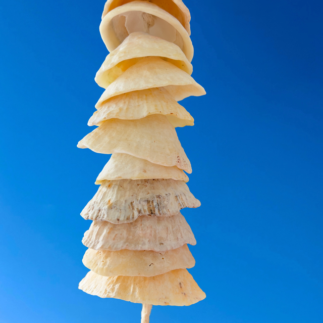 Mobile côtier 1 guirlande sonore de coquillages