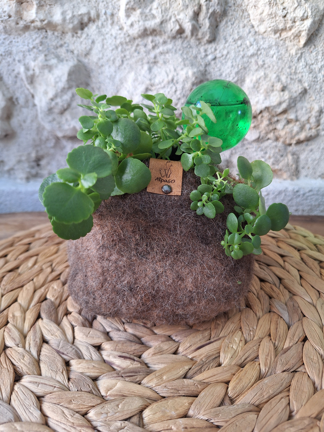 Pot feuri - collection de trois