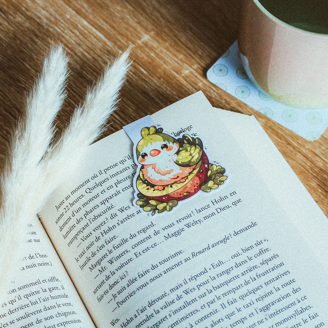 02 - Marque-Pages Magnétique - Oiseau Kiwi