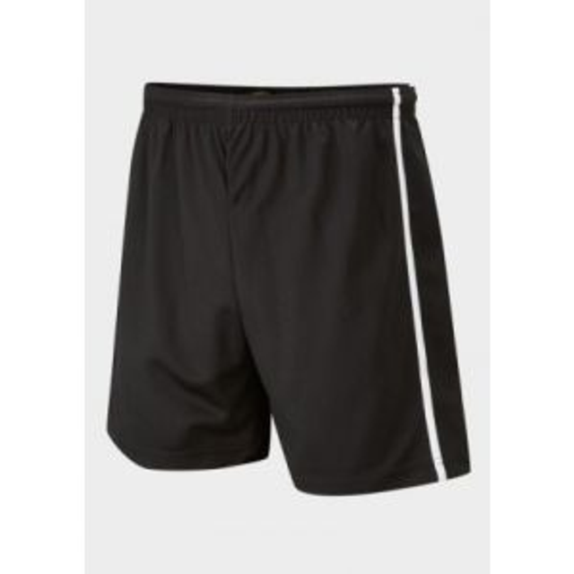 Panelled PE Shorts (Branded item)