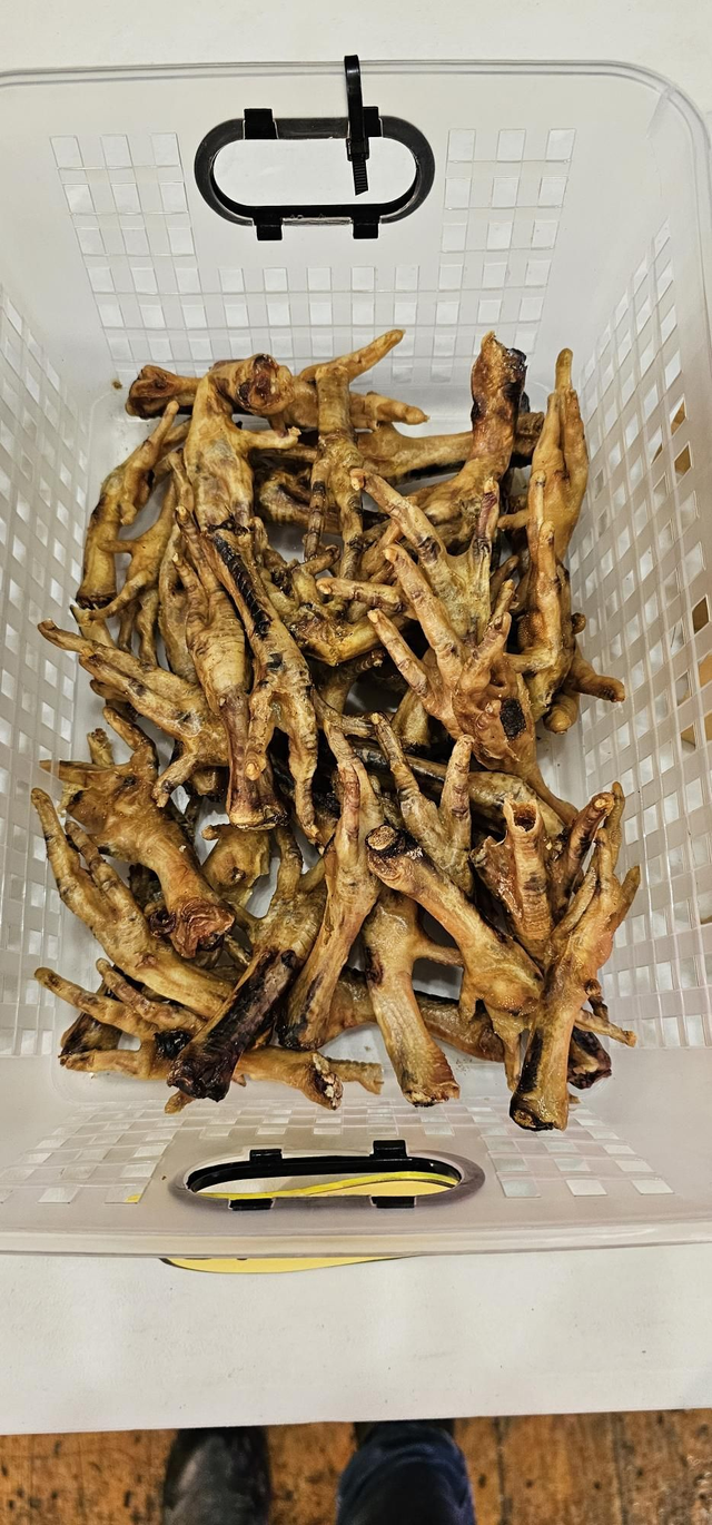 Chicken feet 