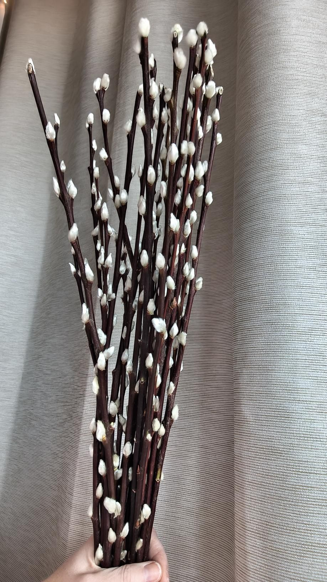 BARKA csokor(KÉSZLETEN)