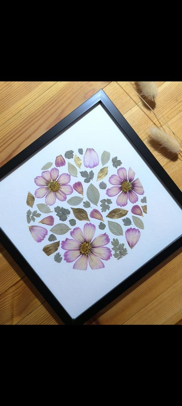 Herbier d'Art Cosmos