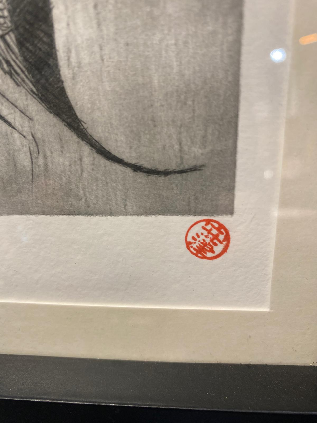 Platax teira - Tirage 4/6