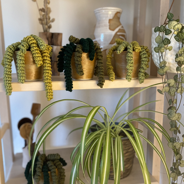 Crochet Succulent Planter 