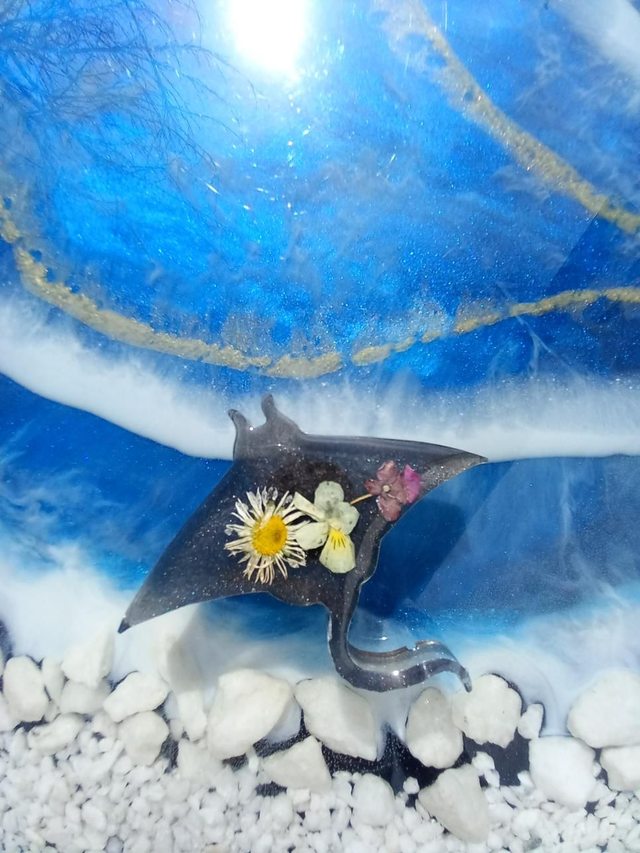 Magnet raie manta