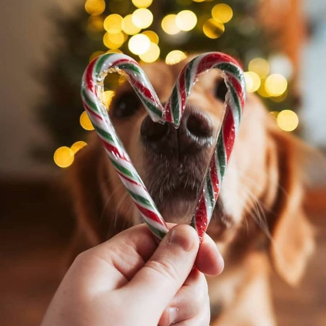 ⭐ SEHÄN KUUNTELEE™ – VIP LIGHT (49 €)