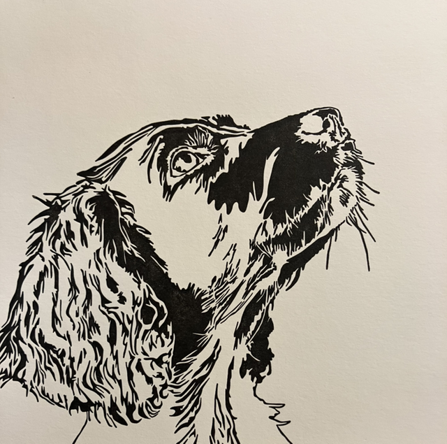 Traditional Letterpress Cats &amp; Dogs Spaniel 
