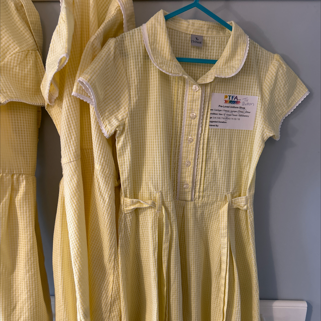 Dress - Age 9 - Tu (Button) (very good condition)