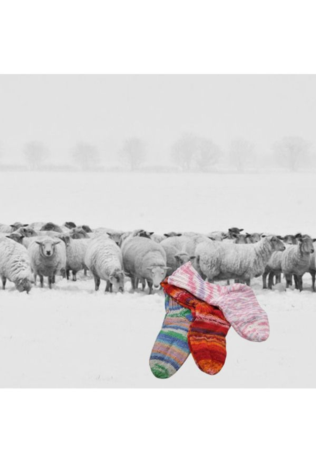 Verschiedene Socken