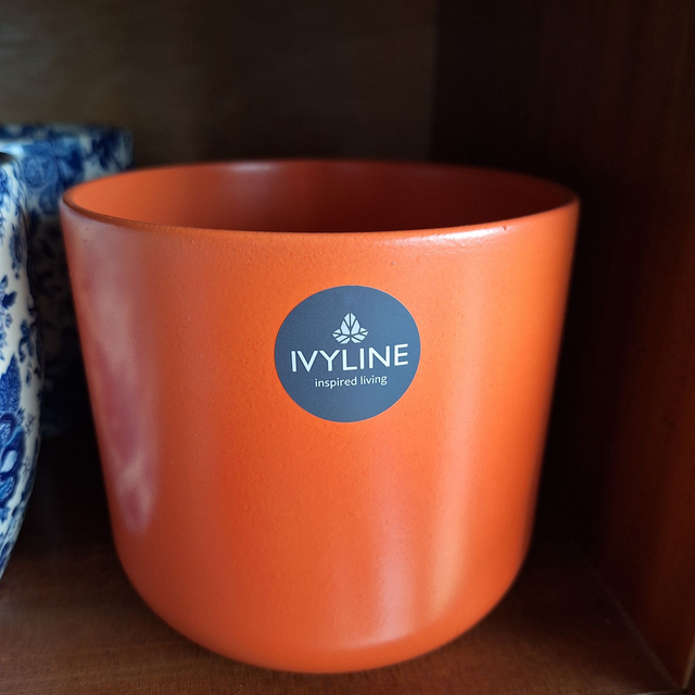 Coral ceramic indoor planter (by Ivyline)