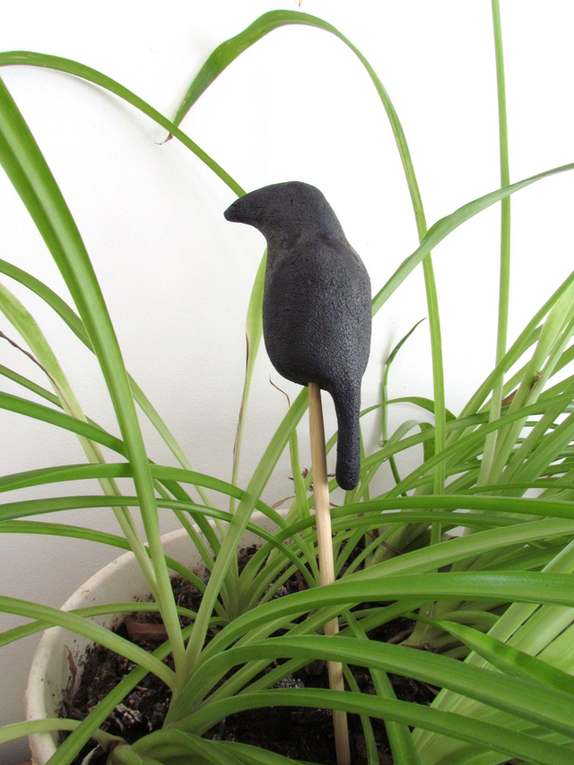 Genevieille la corneille doyenne