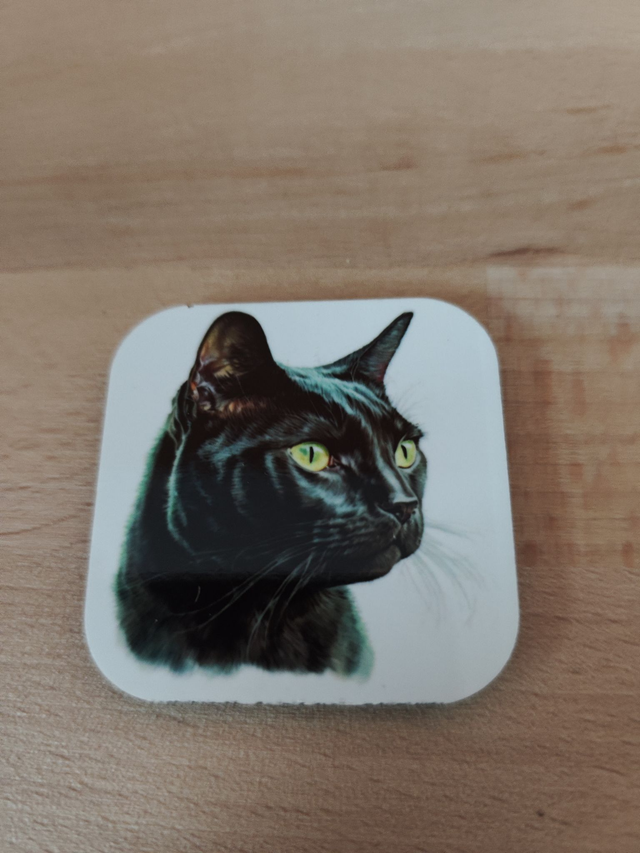 Magnet chat noir