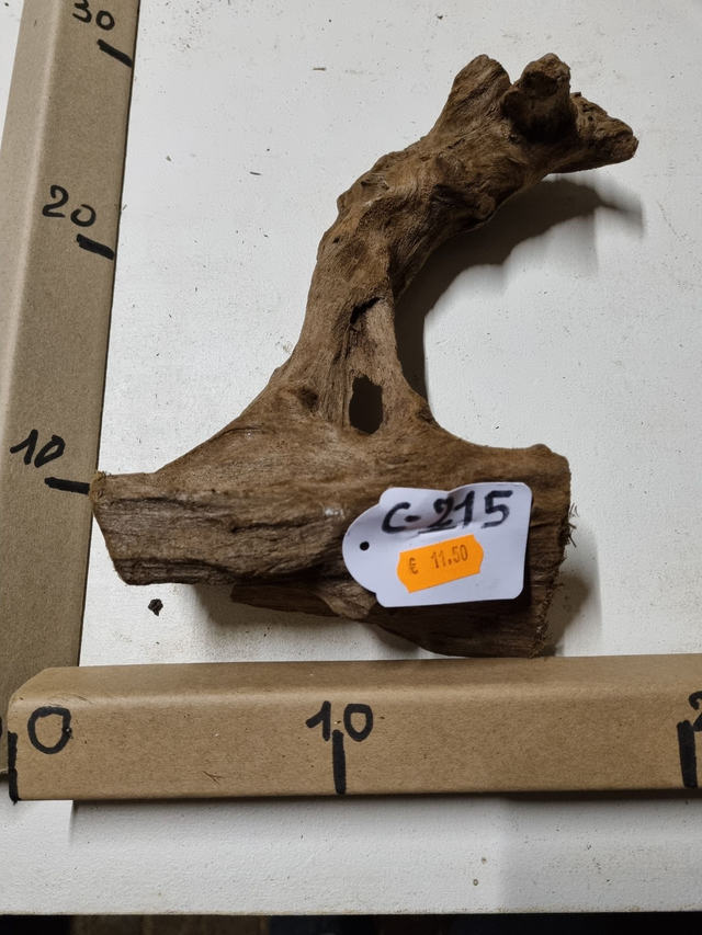 Racine Mangrove C-215