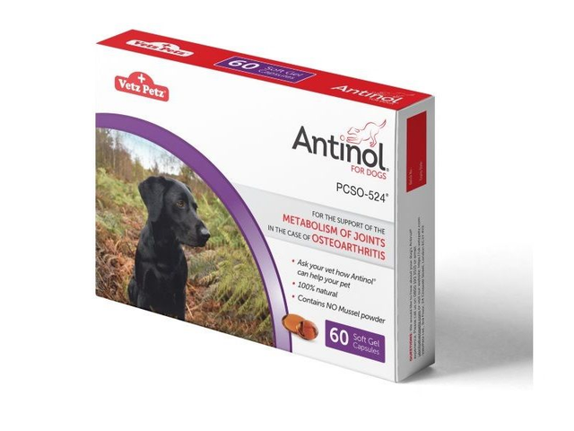 Antinol for Dogs 60 caps