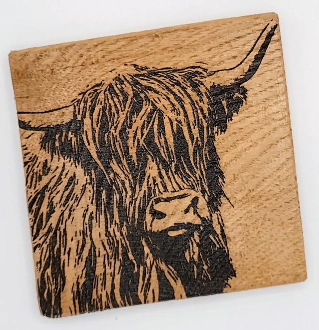 Oak coaster- Highland Cow