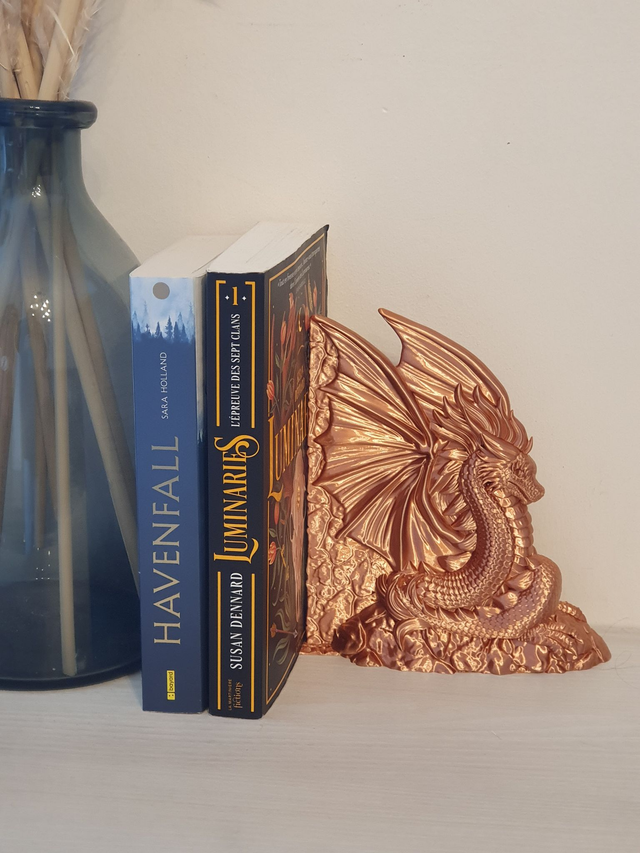 Serre livres dragon pour bibliothèque 