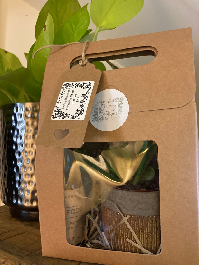 Succulent Starter Gift Set