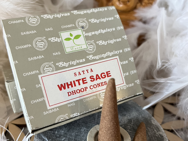 Cône de sauge blanche 