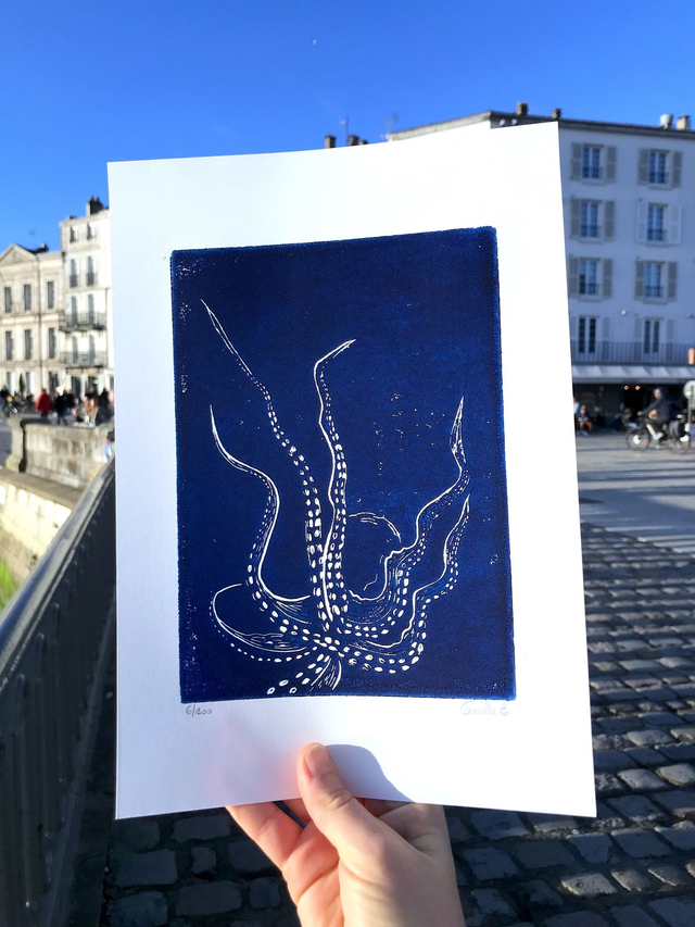 Le poulpe vu du dessus