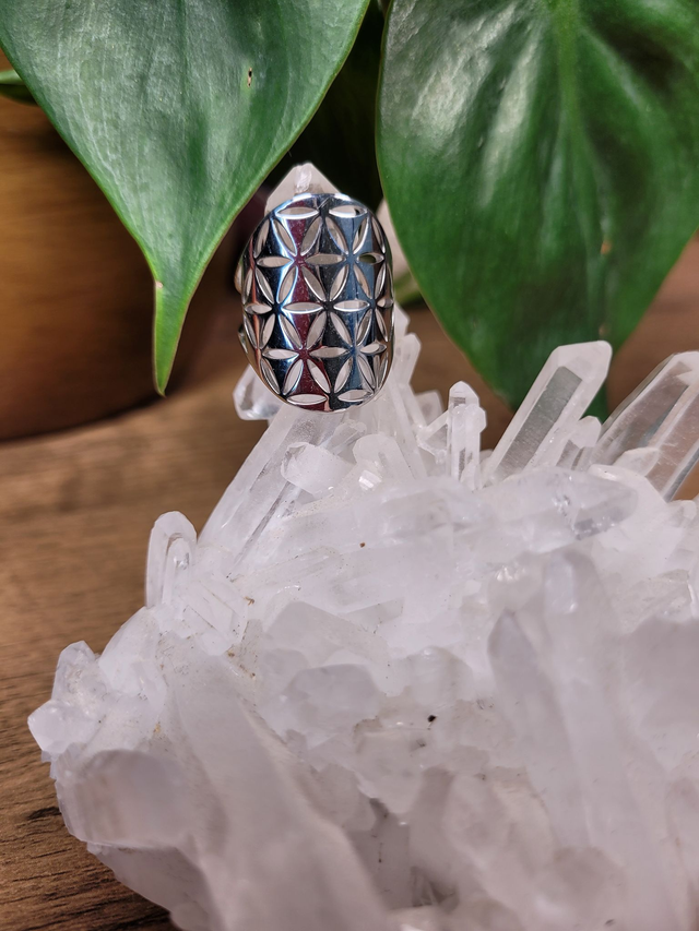 Bague &quot;Bouclier de Vie&quot;