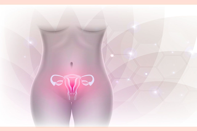 Curso de Sanación útero