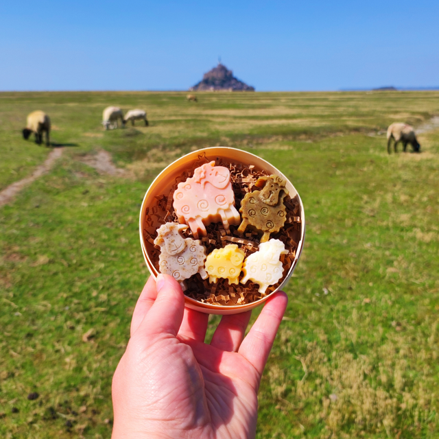 Les P'tits Moutons de la Baie