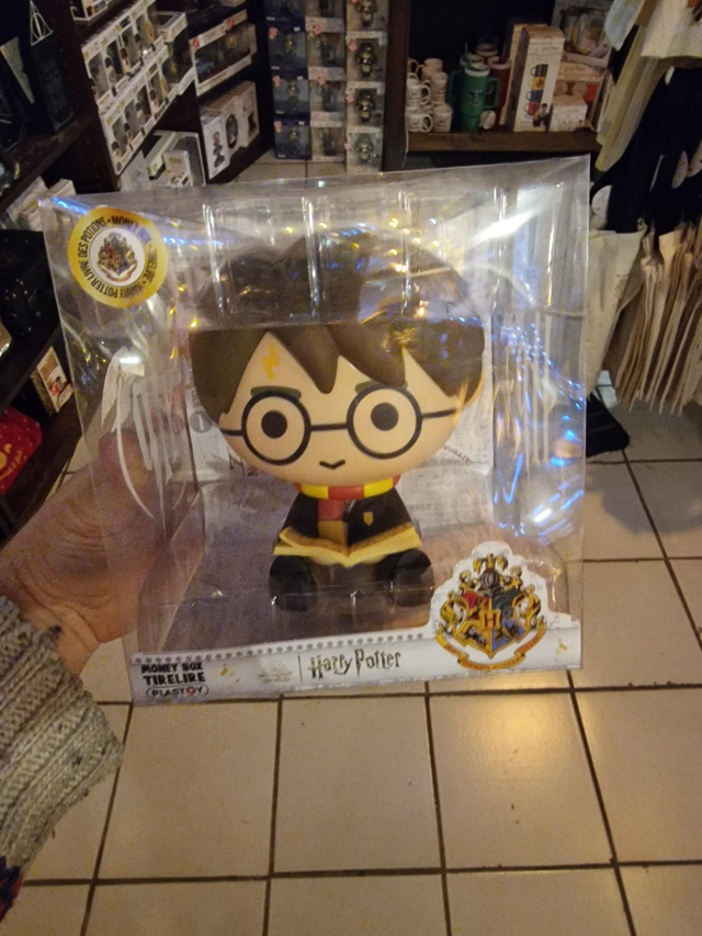 Tirelire  livre des potions 