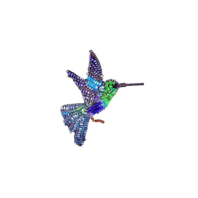 Colibris bleu