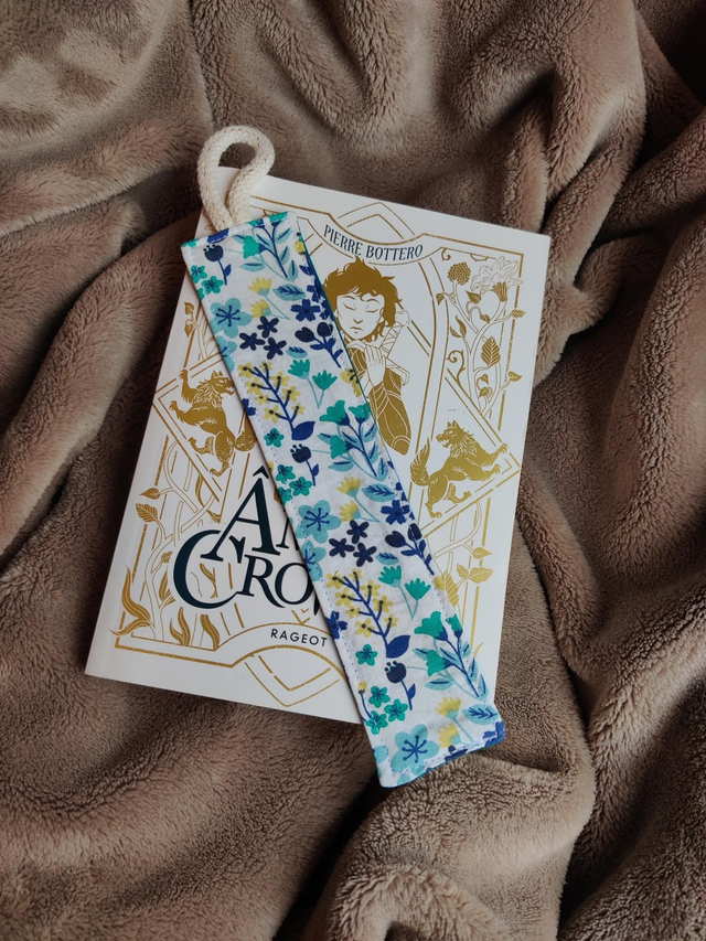 Marque page &quot;Les Âmes Croiser&quot;