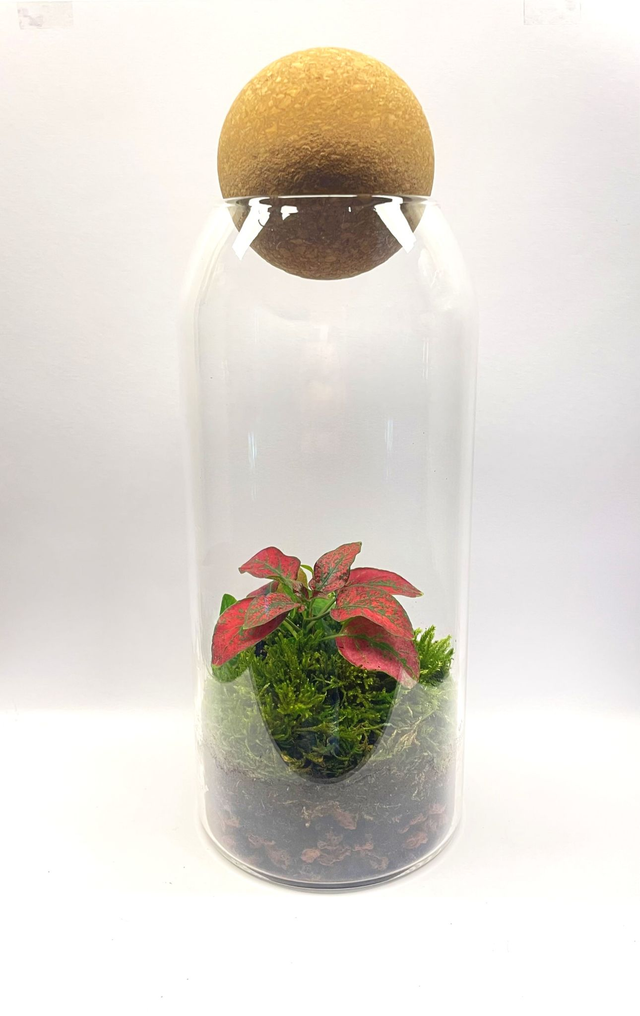 Biosphère bioactive "earth"