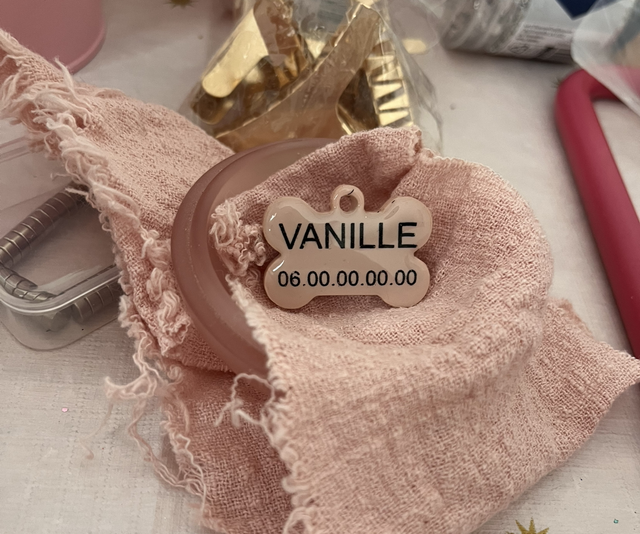 Médaillon chien personnalisé 