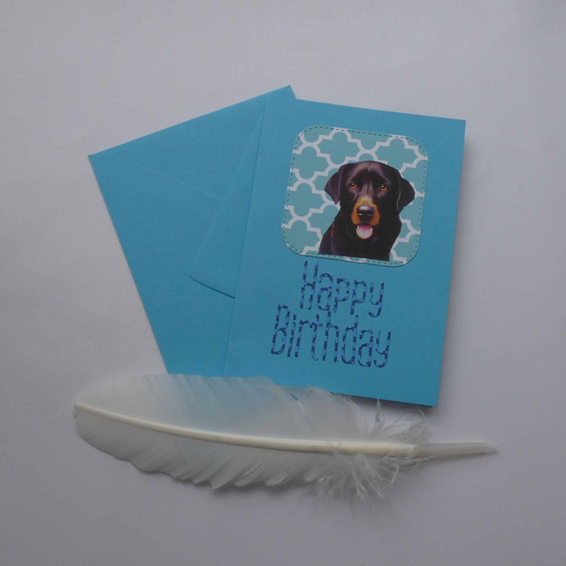 Le labrador d&#039;anniversaire