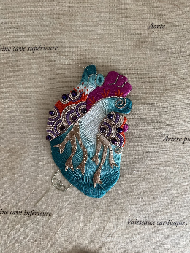 Planche anatomique cclv le coeur dégradé bleu