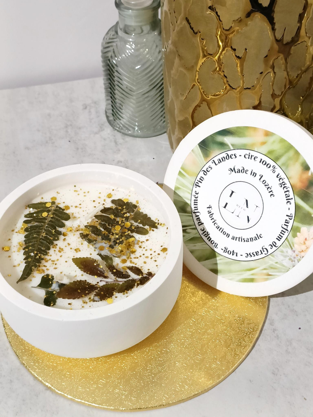 Bougie parfumée Pin des Landes