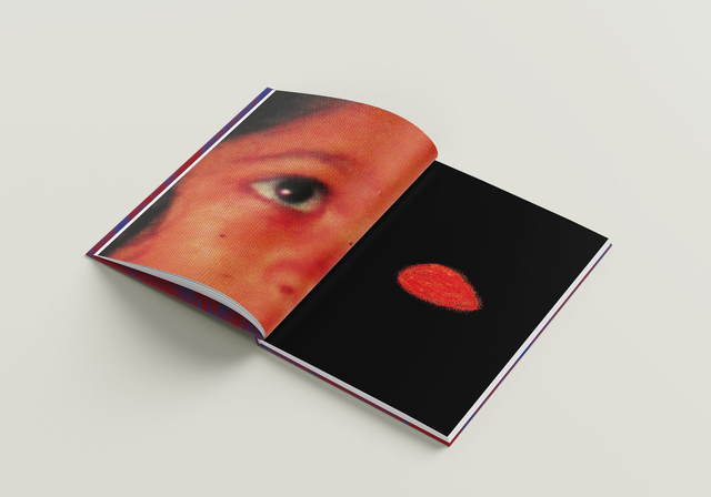 PRÉ-VENDA | MAIS UMA SOBREVIVENTE 2ª ed - Uma graphic novel por Liriz